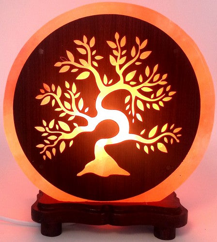 Lampes en Sel, Onyx et Sélénite – Élégance et Sérénité