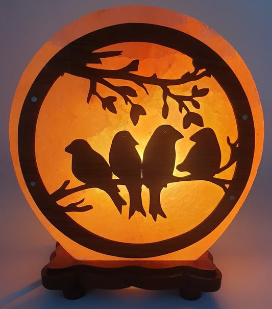 Lampes en Sel, Onyx et Sélénite – Élégance et Sérénité