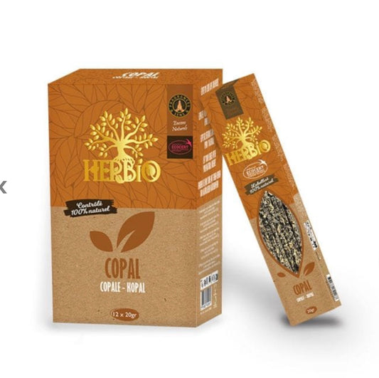 Encens Smudge Ecocert Herbio Copal 20g